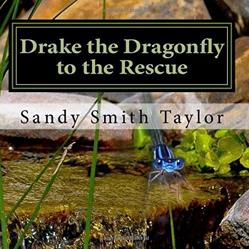 Drake the Dragonfly to the Rescue