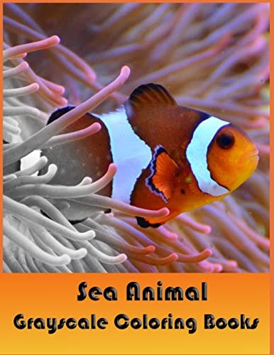 Sea Animal Grayscale Coloring Books Adults Coloring Books Which Is Challenge and Lot of Fun While Color in Real Images
