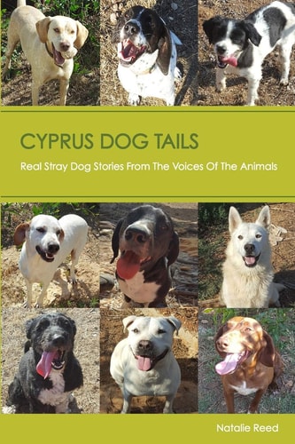 Cyprus Dog Tails Real Stray Dog Stories From The Voices Of the Animals