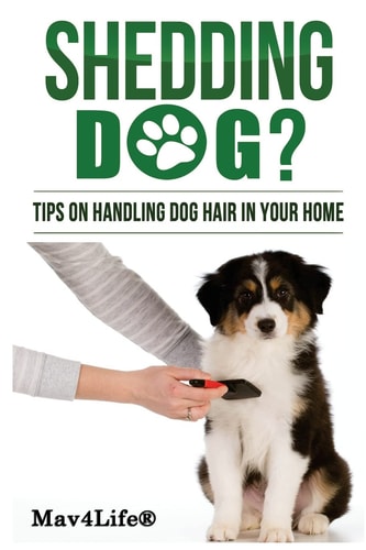Shedding Dog? Tips on Handling Dog Hair in Your Home