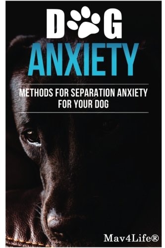 Dog Anxiety? Methods For Separation Anxiety For Your Dog!