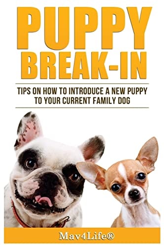 Puppy Break-In Tips On How To Introduce A New Puppy To Your Current Family Dog