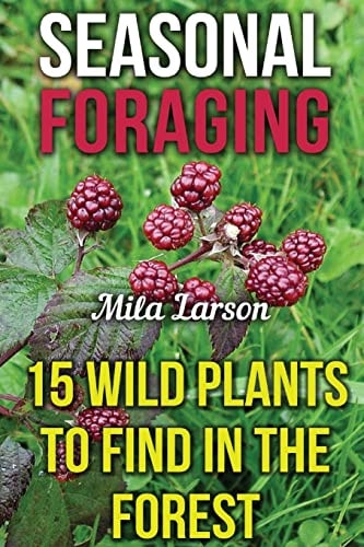Seasonal Foraging 15 Wild Plants To Find In The Forest