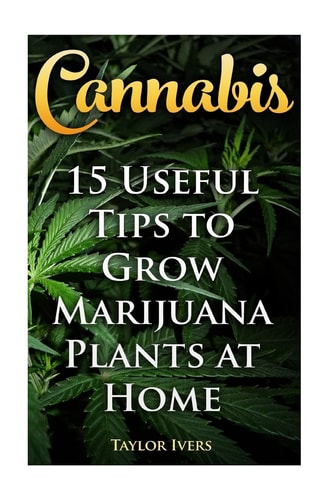 Cannabis 15 Useful Tips to Grow Marijuana Plants at Home