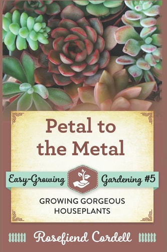 Petal to the Metal Growing Gorgeous Houseplants