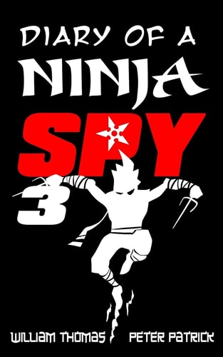 Diary of a Ninja Spy 3 Ninja Ghost Attack!