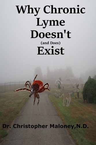 Why Chronic Lyme Doesn't (And Does) Exist Finding Common Ground In The Lyme Wars