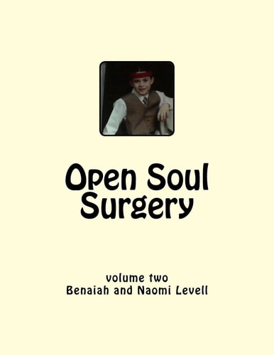 Vol. 2, Open Soul Surgery, Large Print Edition Seven Flames: Letters to Manasseh
