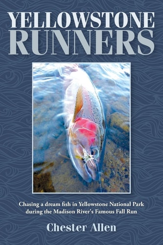 Yellowstone Runners Chasing a Dream Fish in Yellowstone National Park During the Madison River's Famous Fall Run