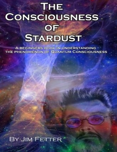 The Consciousness of Stardust