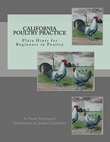 California Poultry Practice Plain Hints for Beginners in Poultry
