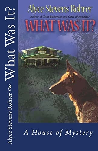 What Was It?