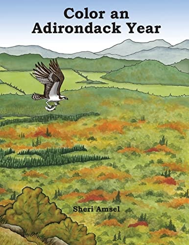 Color an Adirondack Year