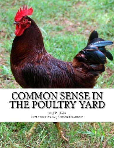 Common Sense In The Poultry Yard A Story of Failures and Successes - 1000 Hens and What They Did