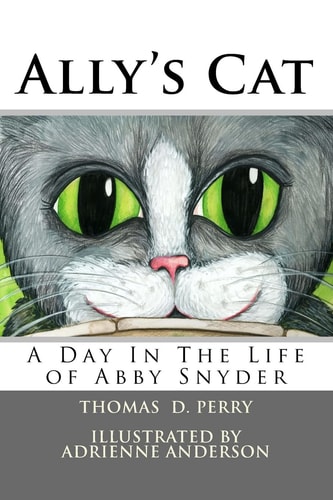 Ally's Cat A Day in the Life of Abby Snyder