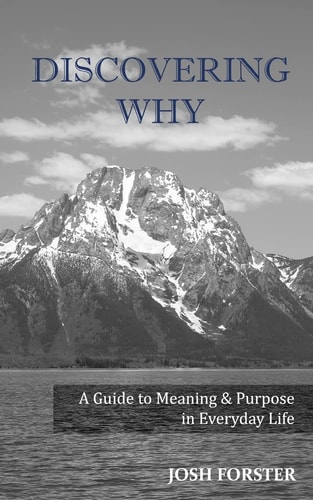 Discovering Why