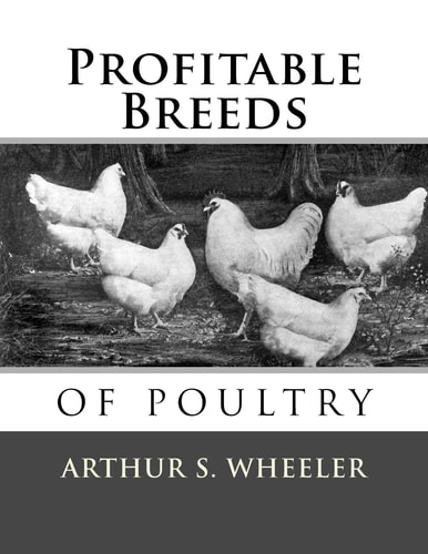 Profitable Breeds of Poultry