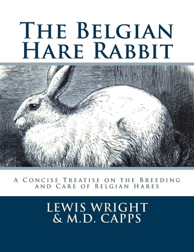 The Belgian Hare Rabbit A Concise Treatise on the Breeding and Care of Belgian Hares