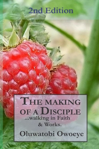 The Making of a Disciple 2nd Edition