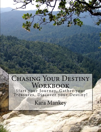 Chasing Your Destiny Workbook