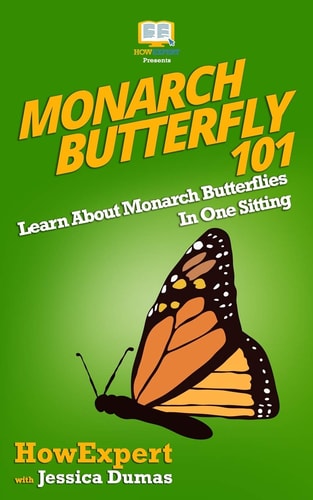 Monarch Butterfly 101 Learn About Monarch Butterflies In One Sitting