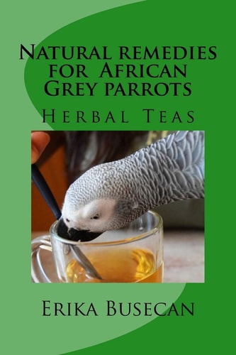 Natural Remedies for African Grey Parrots Herbal Teas