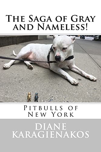 The Saga of Gray and Nameless! Pitbulls of New York
