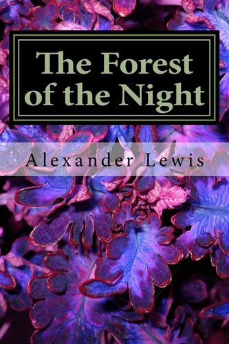 The Forest of the Night The Bridge Beyond