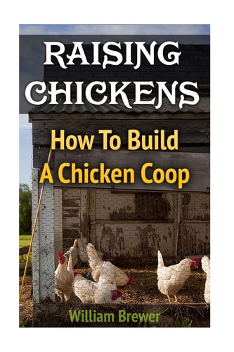 Raising Chickens How To Build A Chicken Coop