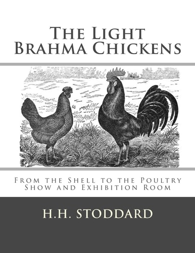 The Light Brahma Chickens (The Light Brahma Fowls) From the Shell to the Poultry Show and Exhibition Room