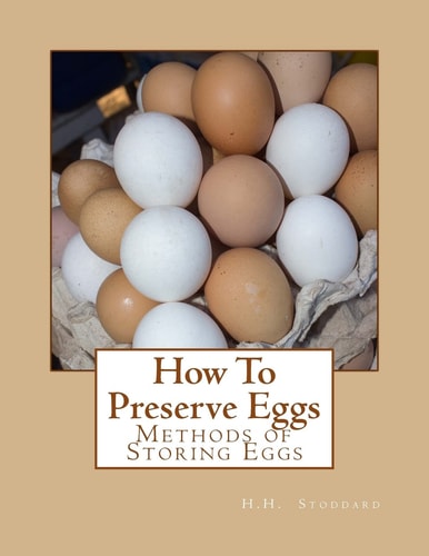 How To Preserve Eggs Methods of Storing Eggs