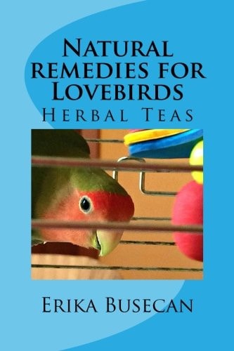 Natural Remedies for Lovebirds Herbal Teas