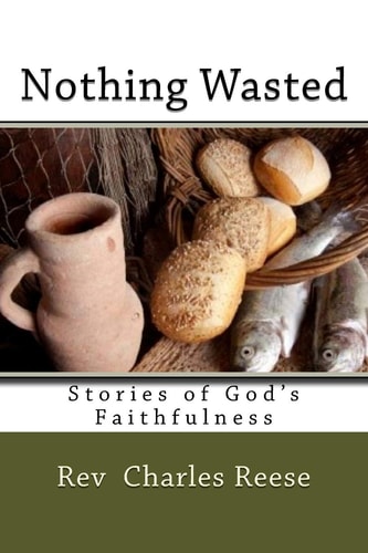 Nothing Wasted Stories of God's Faithfulness