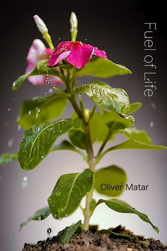 Fuel Of Life