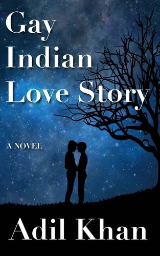 Gay Indian Love Story: a Novel