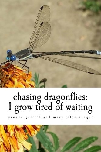 Chasing Dragonflies I Grow Tired of Waiting