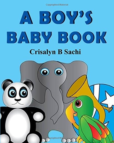 A Boy's Baby Book