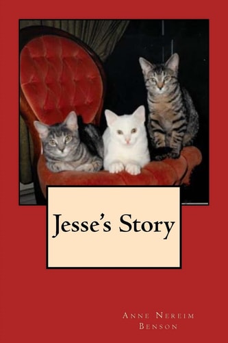 Jesse's Story
