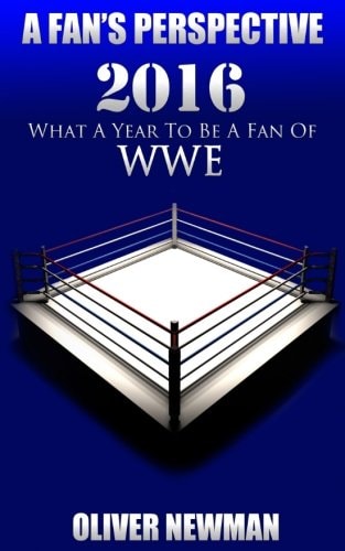 A Fan's Perspective 2016 - What a Year to Be a Fan of Wwe