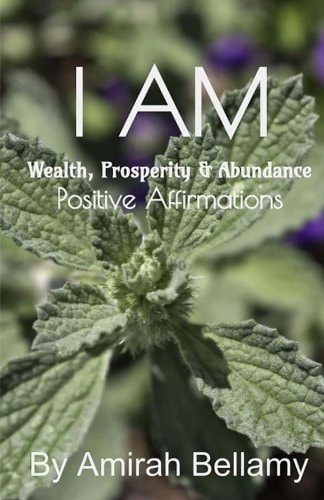 I AM Wealth, Prosperity and Abundance Positive Affirmations