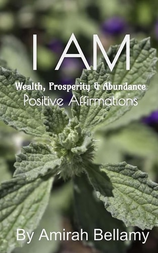 I AM Wealth, Prosperity and Abundance Positive Affirmations