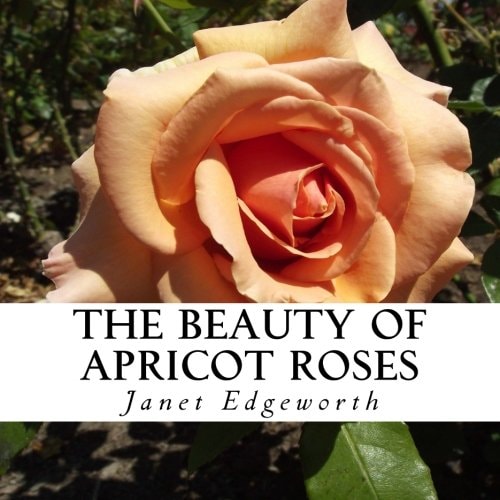 The Beauty of Apricot Roses A Text-Free Book for Seniors and Alzheimer's Patients