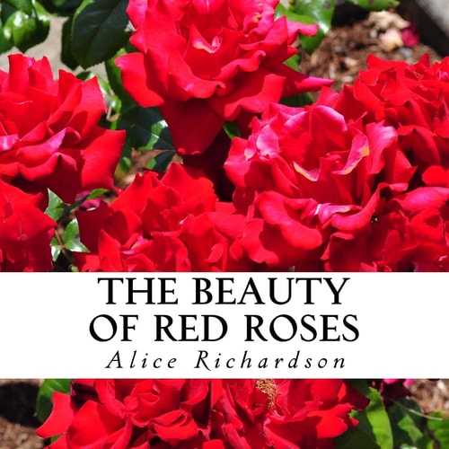 The Beauty of Red Roses A Text-Free Book for Seniors and Alzheimer's Patients