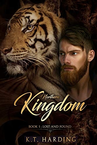 Northern Kingdom Book 1 Lost and Found