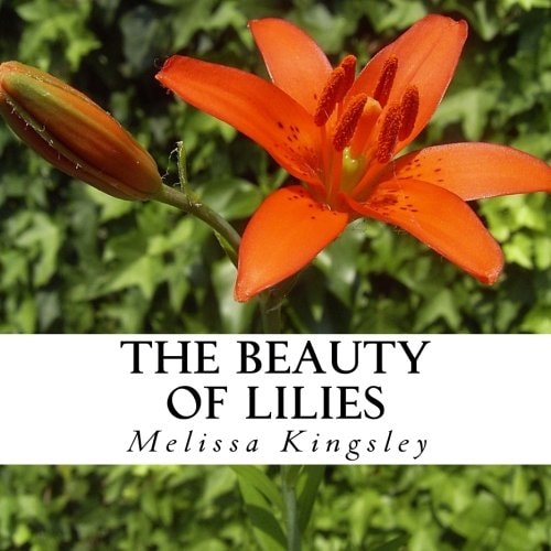 The Beauty of Lilies A Text-Free Book for Seniors and Alzheimer's Patients