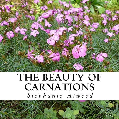 The Beauty of Carnations A Text-Free Book for Seniors and Alzheimer's Patients