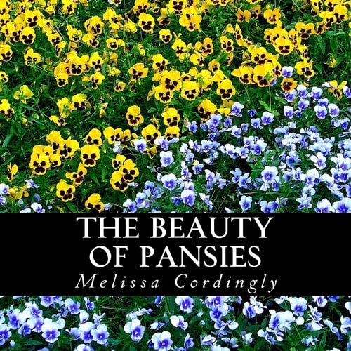 The Beauty of Pansies A Text-Free Book for Seniors and Alzheimer's Patients