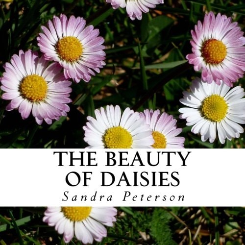 The Beauty of Daisies A Text-Free Book for Seniors and Alzheimer's Patients
