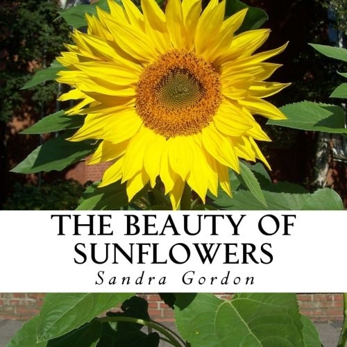 The Beauty of Sunflowers A Text-Free Book for Seniors and Alzheimer's Patients