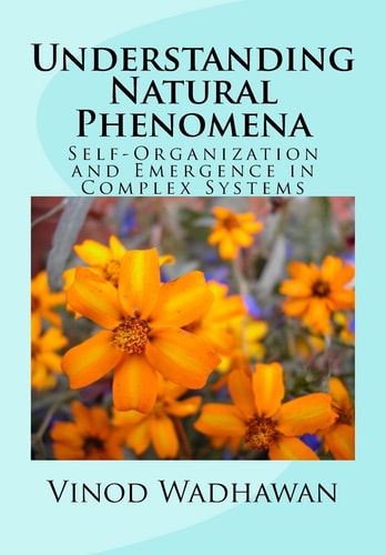 Understanding Natural Phenomena Self-Organization and Emergence in Complex Systems